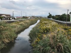 すっかり秋になった二反田川