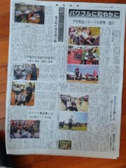 奄美新聞のスポーツ蘭