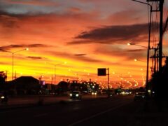 ターレの夕映え